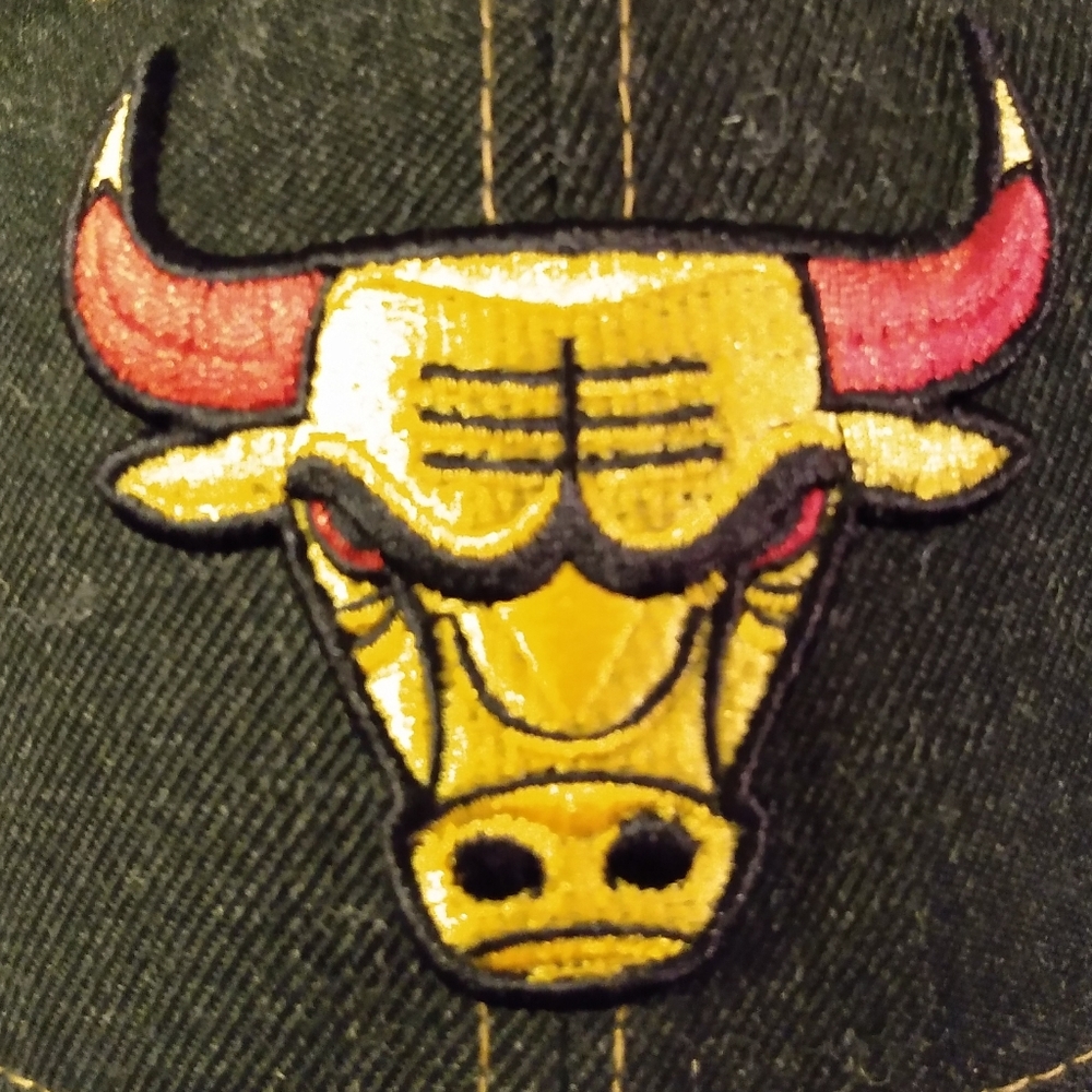 Bulls baseball cap